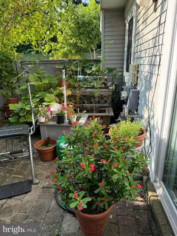 a bunch of flowers are in a garden