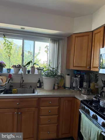 a kitchen with sink a window and potted plant