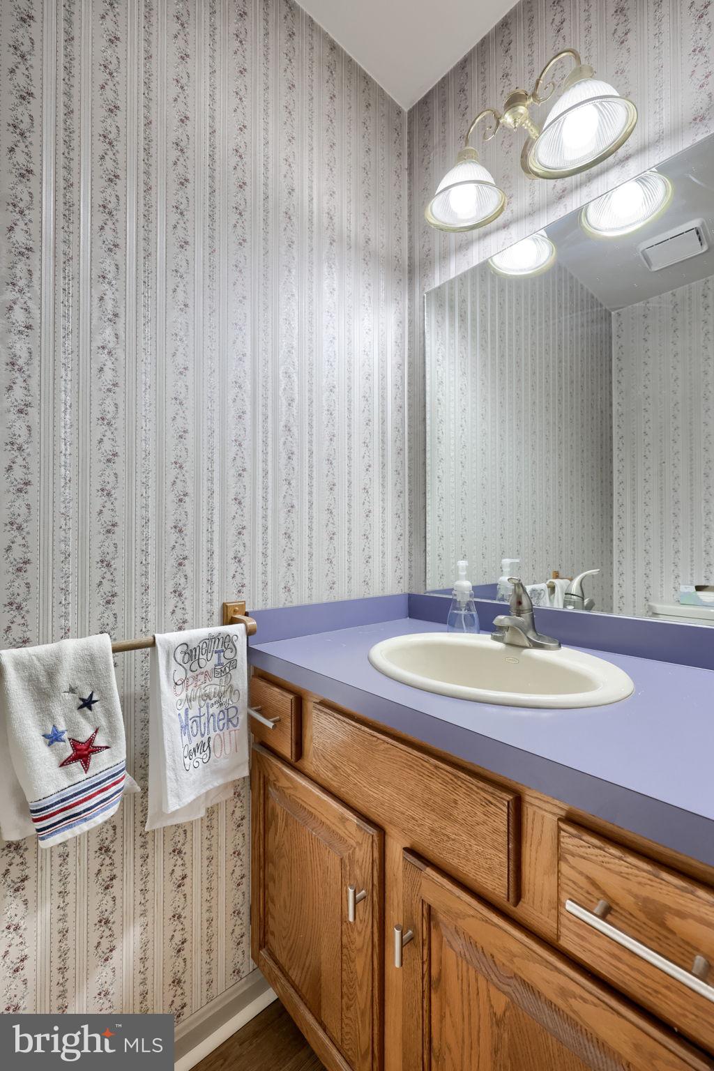 1001 Rebecca Drive Lititz, PA 17543 - Photo 22 of 49 First floor powder room.
