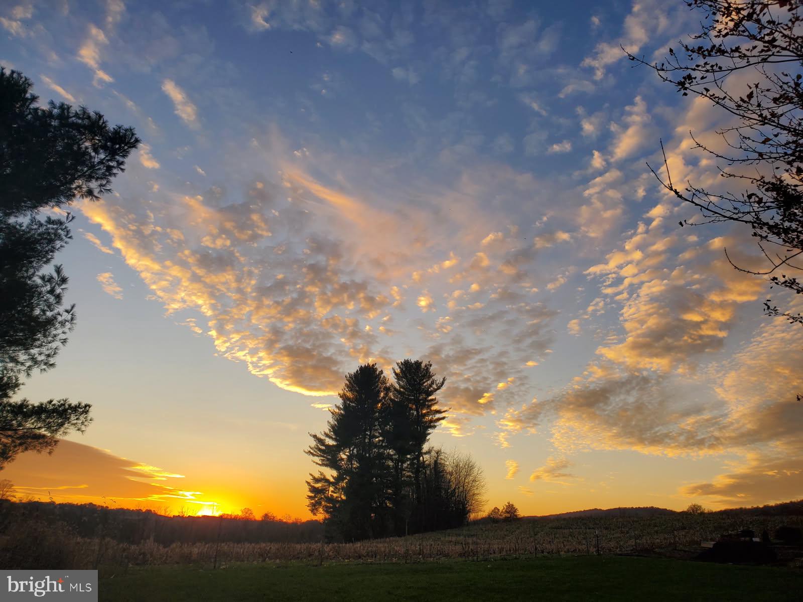 1001 Rebecca Drive Lititz, PA 17543 - Photo 48 of 49 Golden Horizon: Nature's Canvas