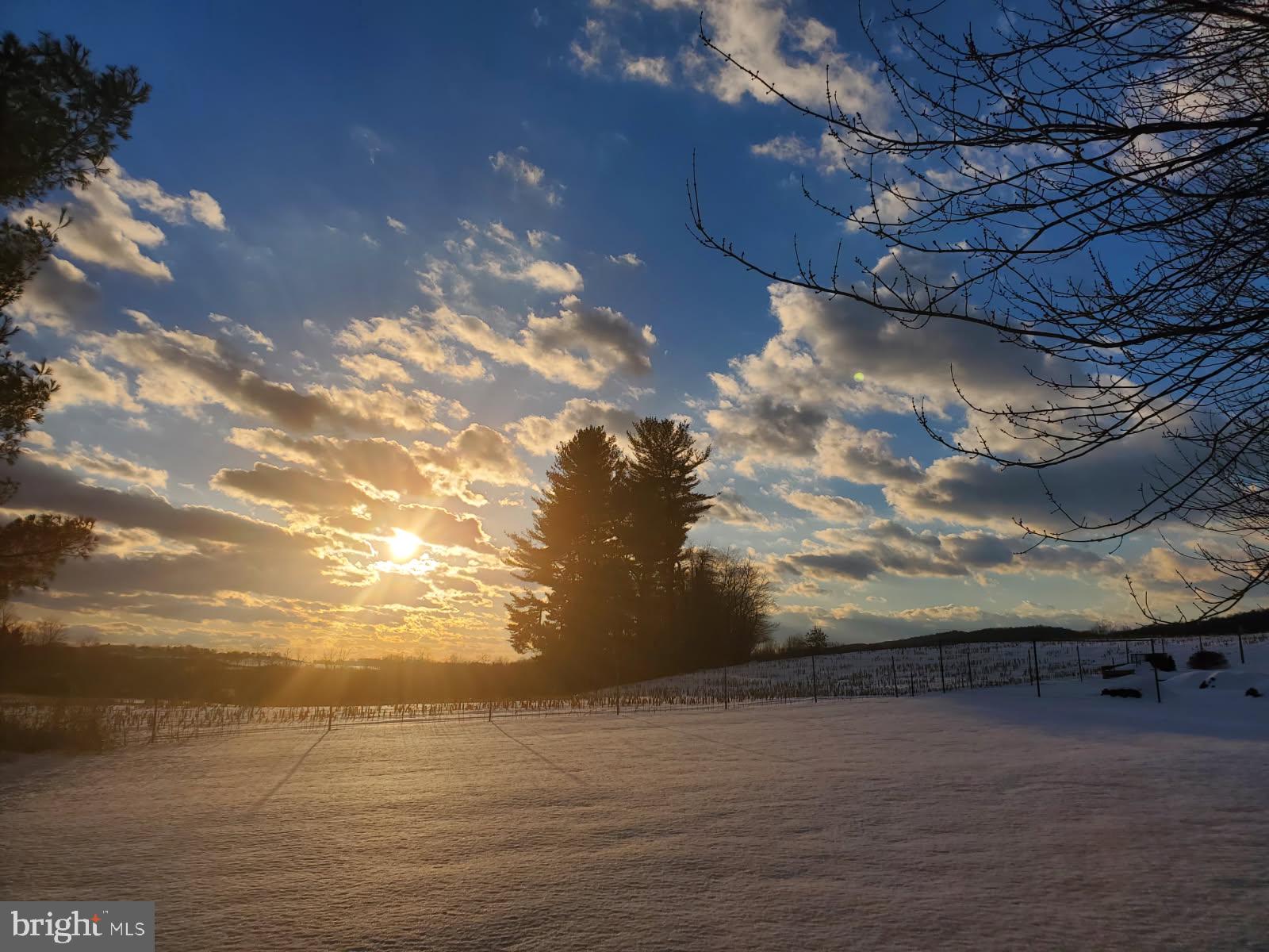 1001 Rebecca Drive Lititz, PA 17543 - Photo 49 of 49 Winter's Glow: A Serene Sunset