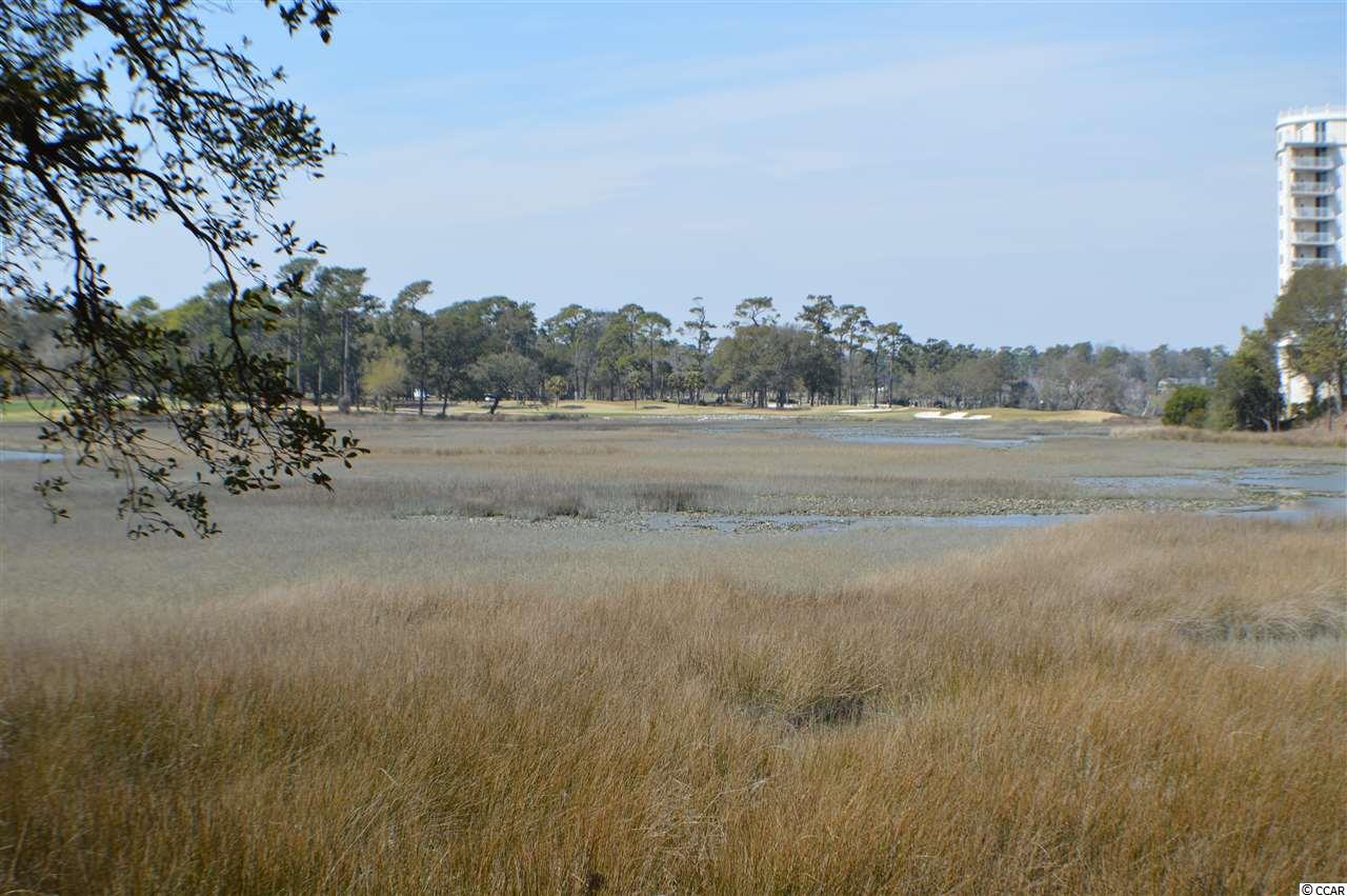 9501 Shore Drive, Unit 117 Myrtle Beach, SC 29572 - Photo 20 of 26