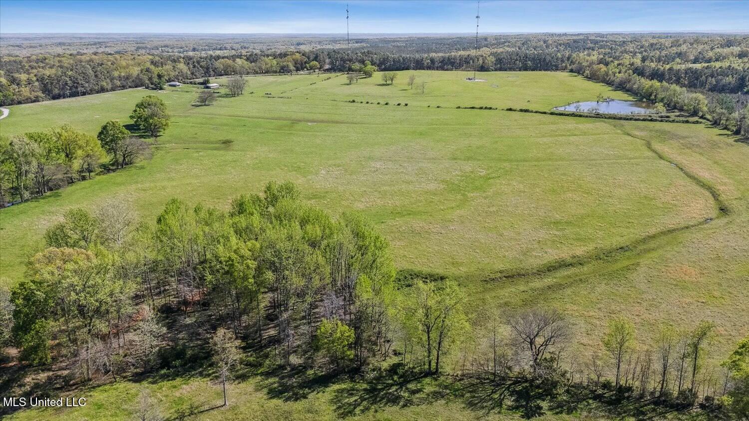 722 Laws Hill Road Holly Springs, MS 38635 - Photo 14 of 24 tempImageXX0PBr
