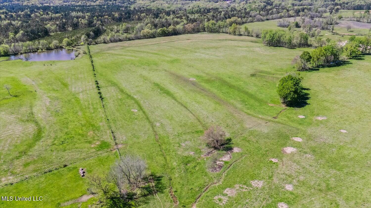 722 Laws Hill Road Holly Springs, MS 38635 - Photo 5 of 24 tempImageW0yhCr