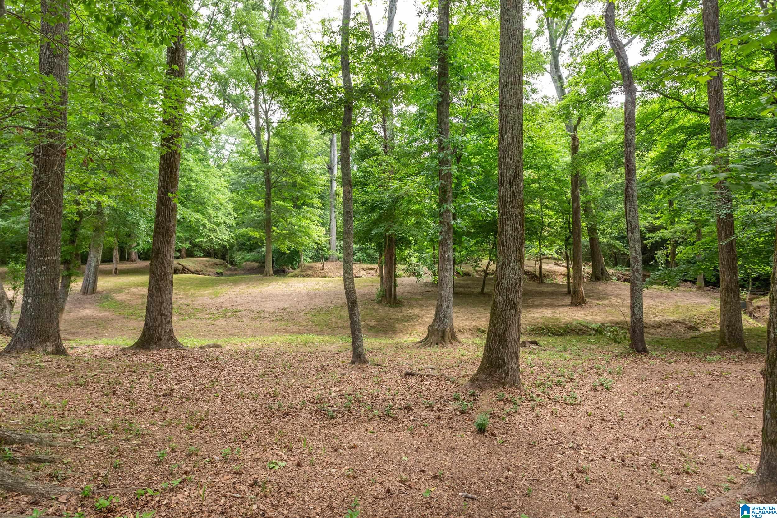 544 Fann Road Steele, AL 35987 - Photo 39 of 84