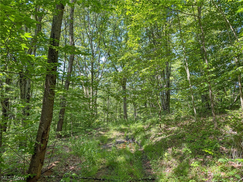 0 Twp Road Marietta, OH 45750 - Photo 27 of 50