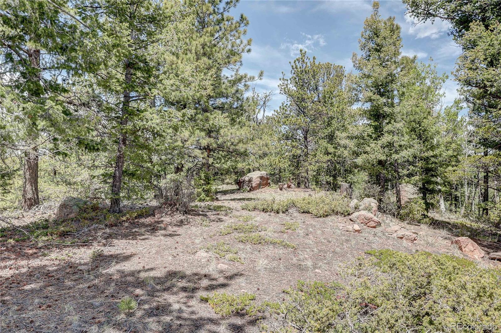 59 Robin Point Divide, CO 80814 - Photo 6 of 30 a view of a forest with trees in the background