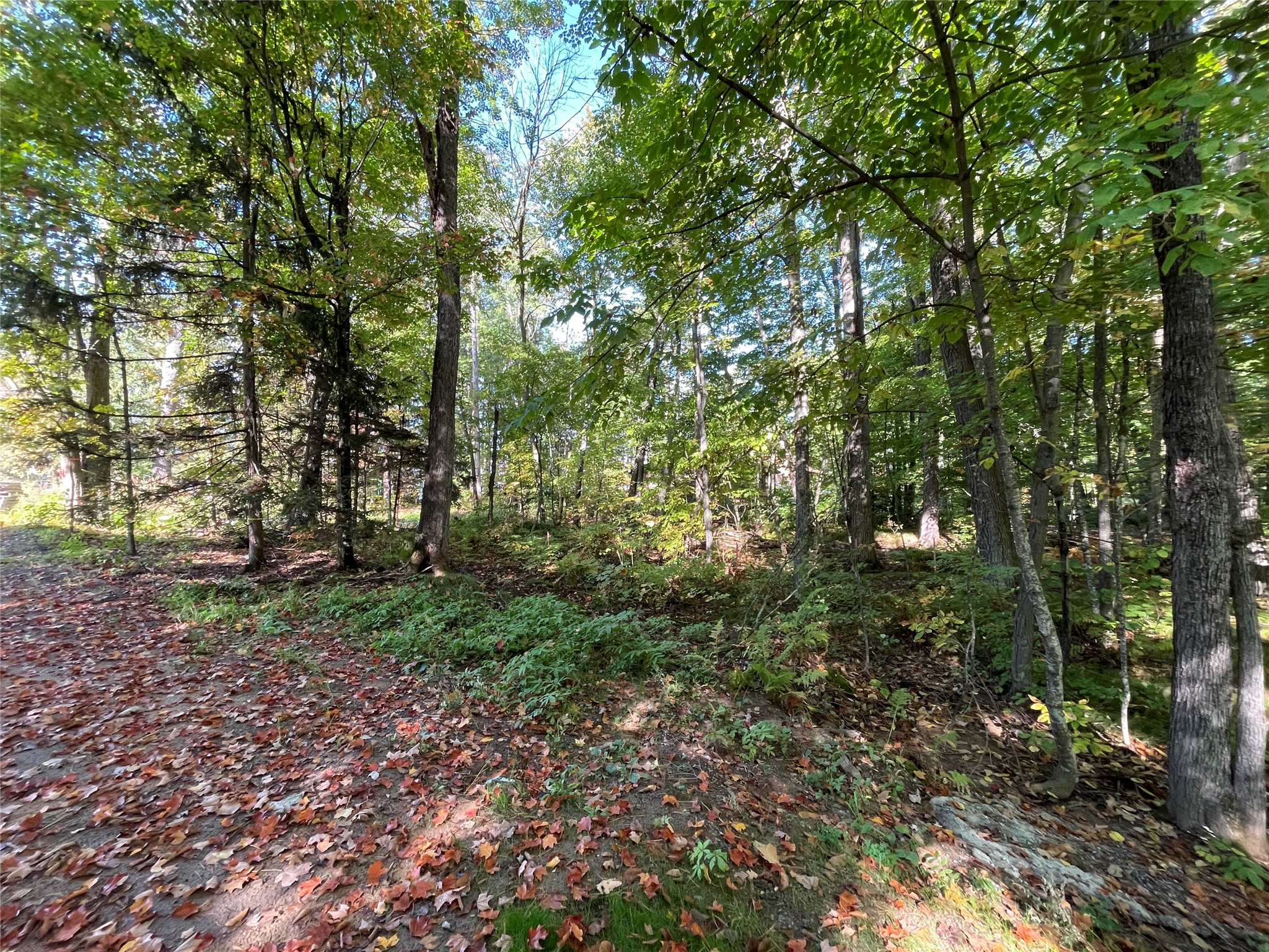 6073 North Elsie Road Stone Lake, WI 54876 - Photo 10 of 42