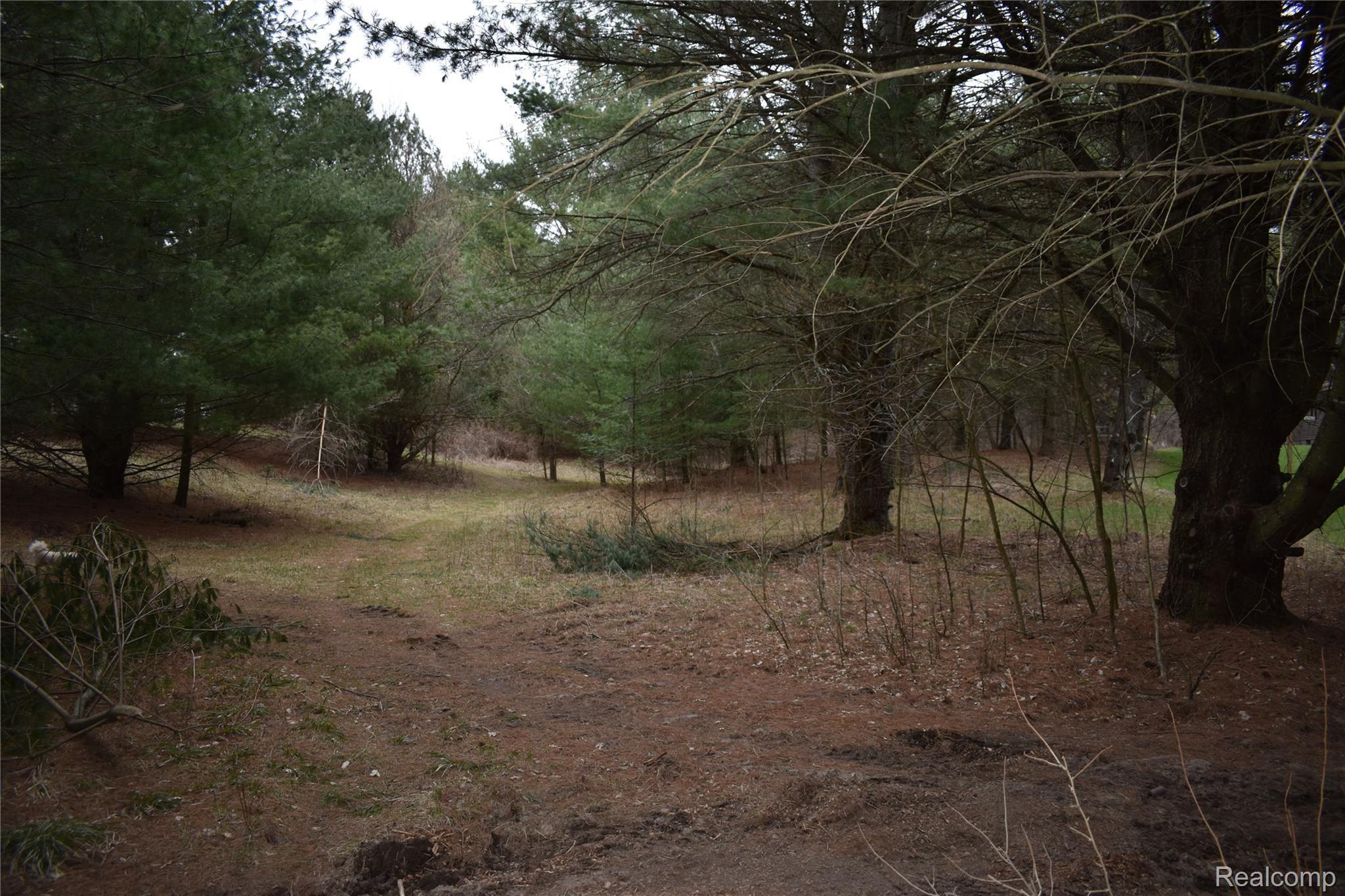 2130 King Road Mikado, MI 48745 - Photo 53 of 57 DSC_0494.JPG