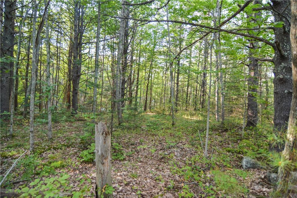 0 Oak Ledge Road Harpswell, ME 04079 - Photo 3 of 11 Photo