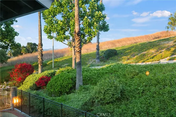 a view of a garden
