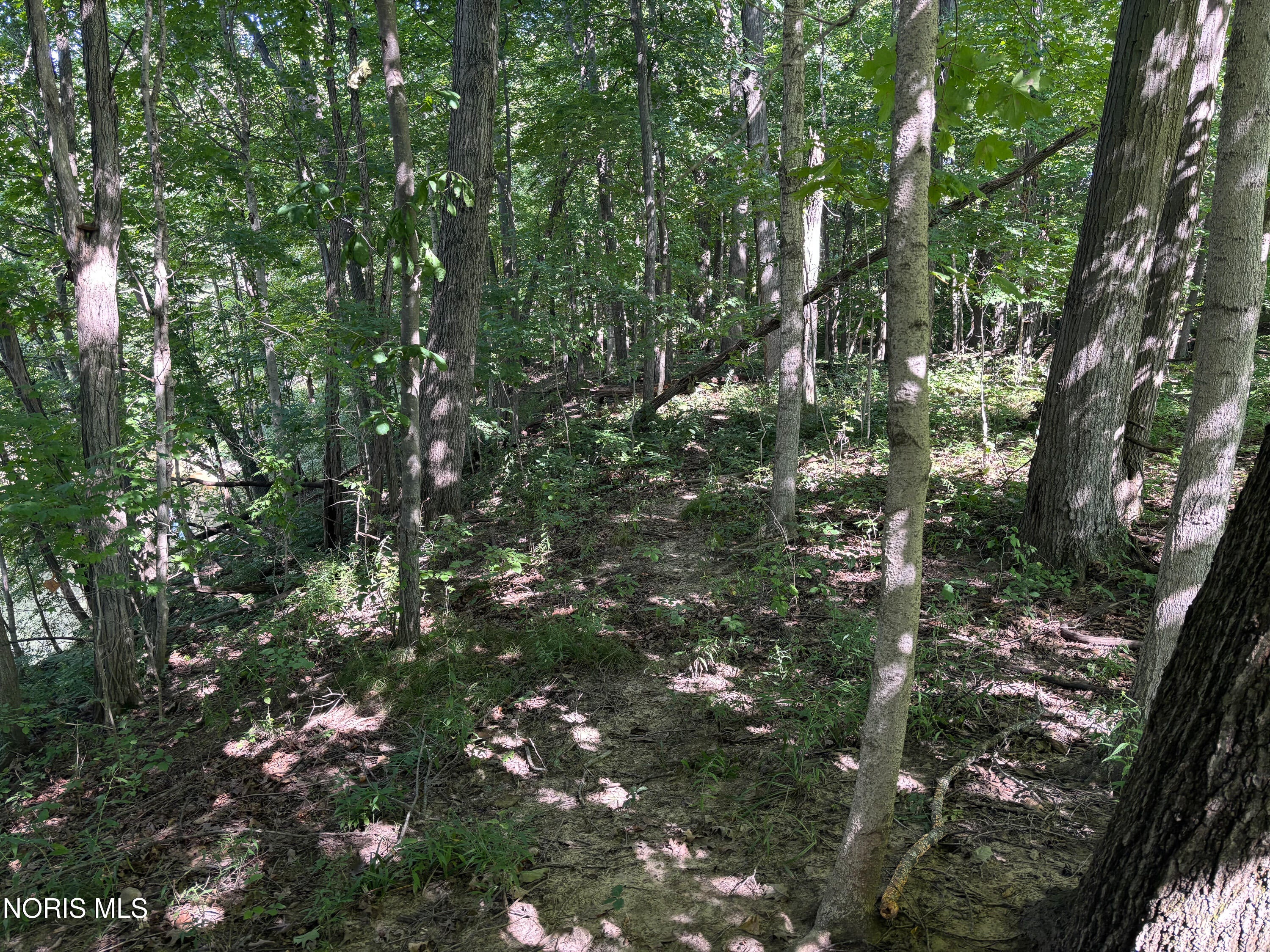 0 Evansport Road Defiance, OH 43512 - Photo 17 of 27 Gallery Image 17