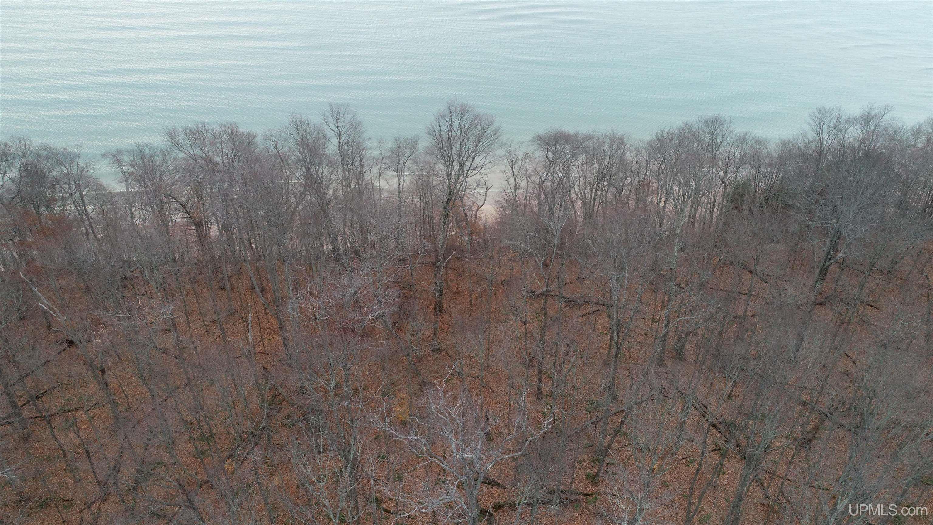 Tbd West Parcel B Little Harbor Road Manistique, MI 49854 - Photo 14 of 43 Gallery Image 14