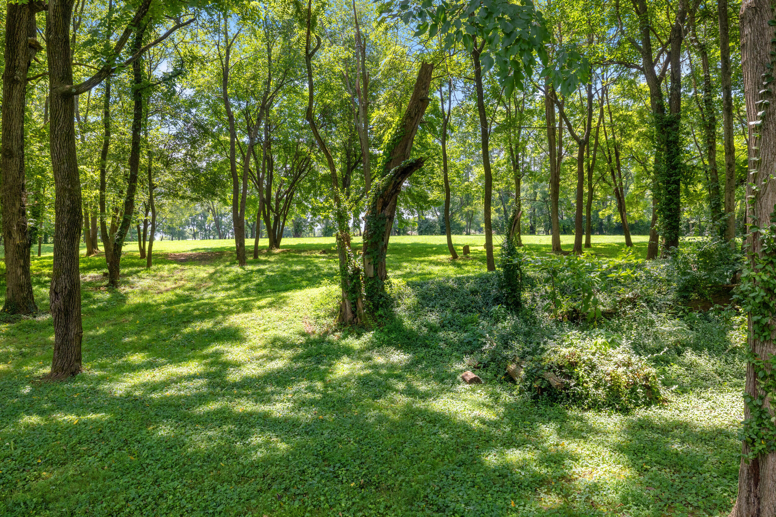 4550 Briar Hill Road Lexington, KY 40516 - Photo 80 of 93 67_1h4a1502