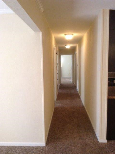 4202 44th Street Lubbock, TX 79413 - Photo 5 of 10 Photo 5