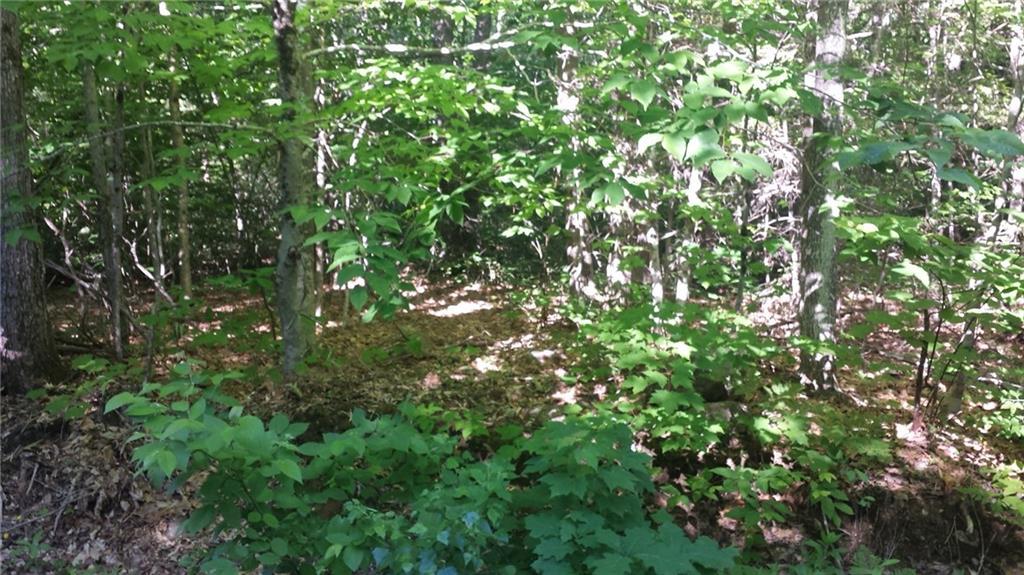0 Sodom Road Buckfield, ME 04220 - Photo 4 of 27 Photo