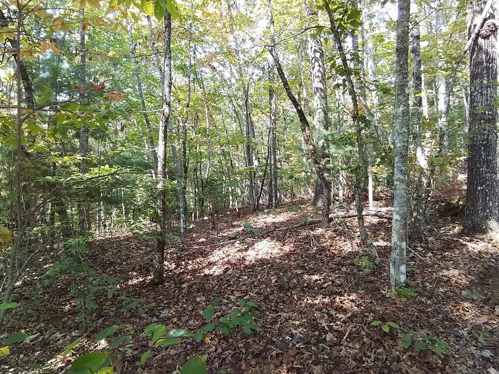End Of Tanglewood Ridge Murphy, NC 28906 - Photo 12 of 38