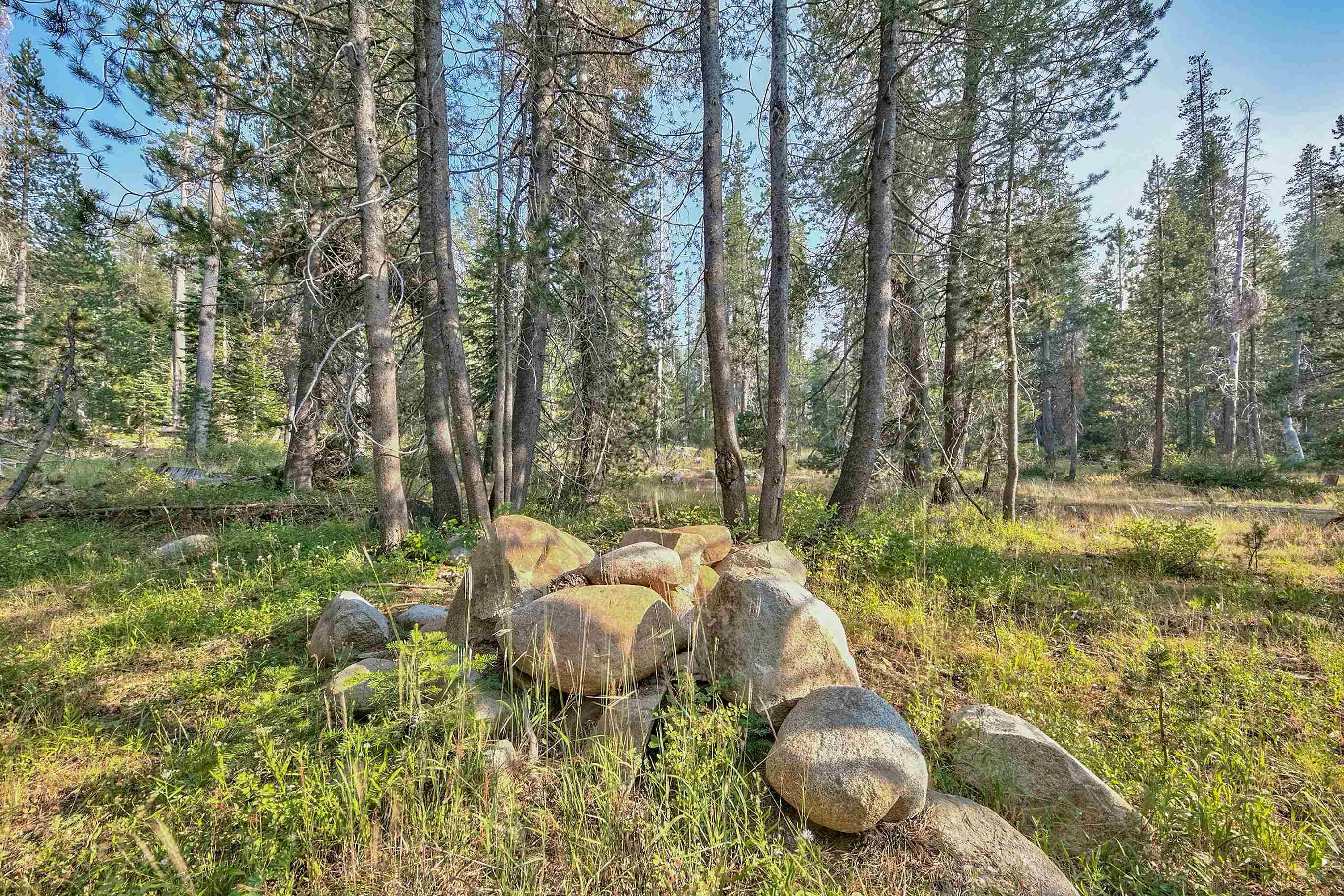 51357 Donner Pass Road Soda Springs, CA 95728 - Photo 3 of 17