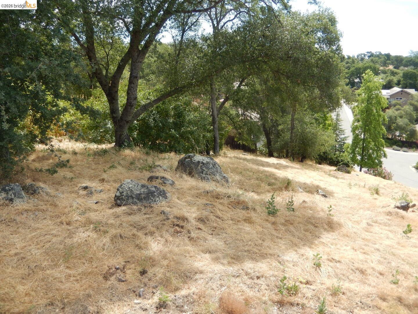 512 Crazy Horse Road Cameron Park, CA 95682 - Photo 12 of 18 a view of a covered with snow in the background