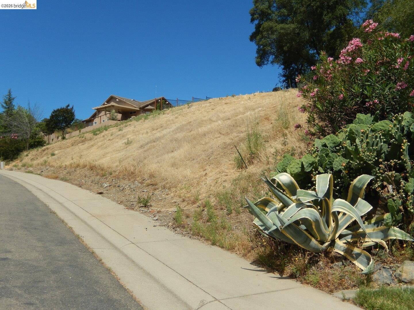 512 Crazy Horse Road Cameron Park, CA 95682 - Photo 2 of 18 a view of a dry yard with wooden fence