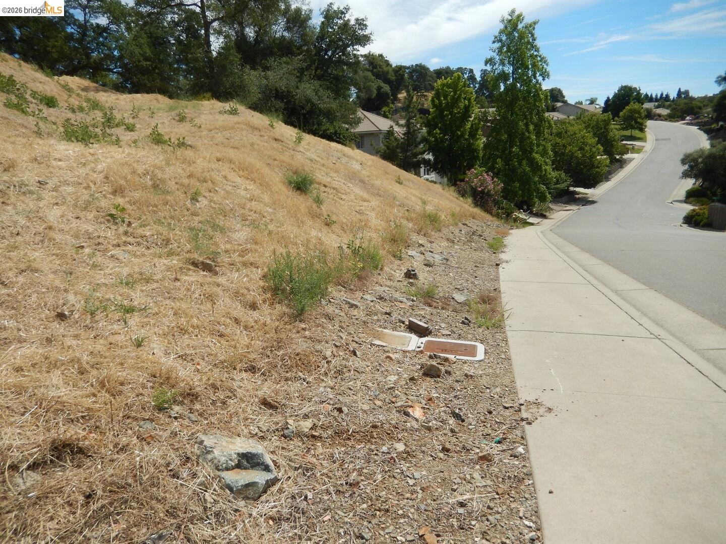 512 Crazy Horse Road Cameron Park, CA 95682 - Photo 3 of 18 a view of a yard with plants and trees