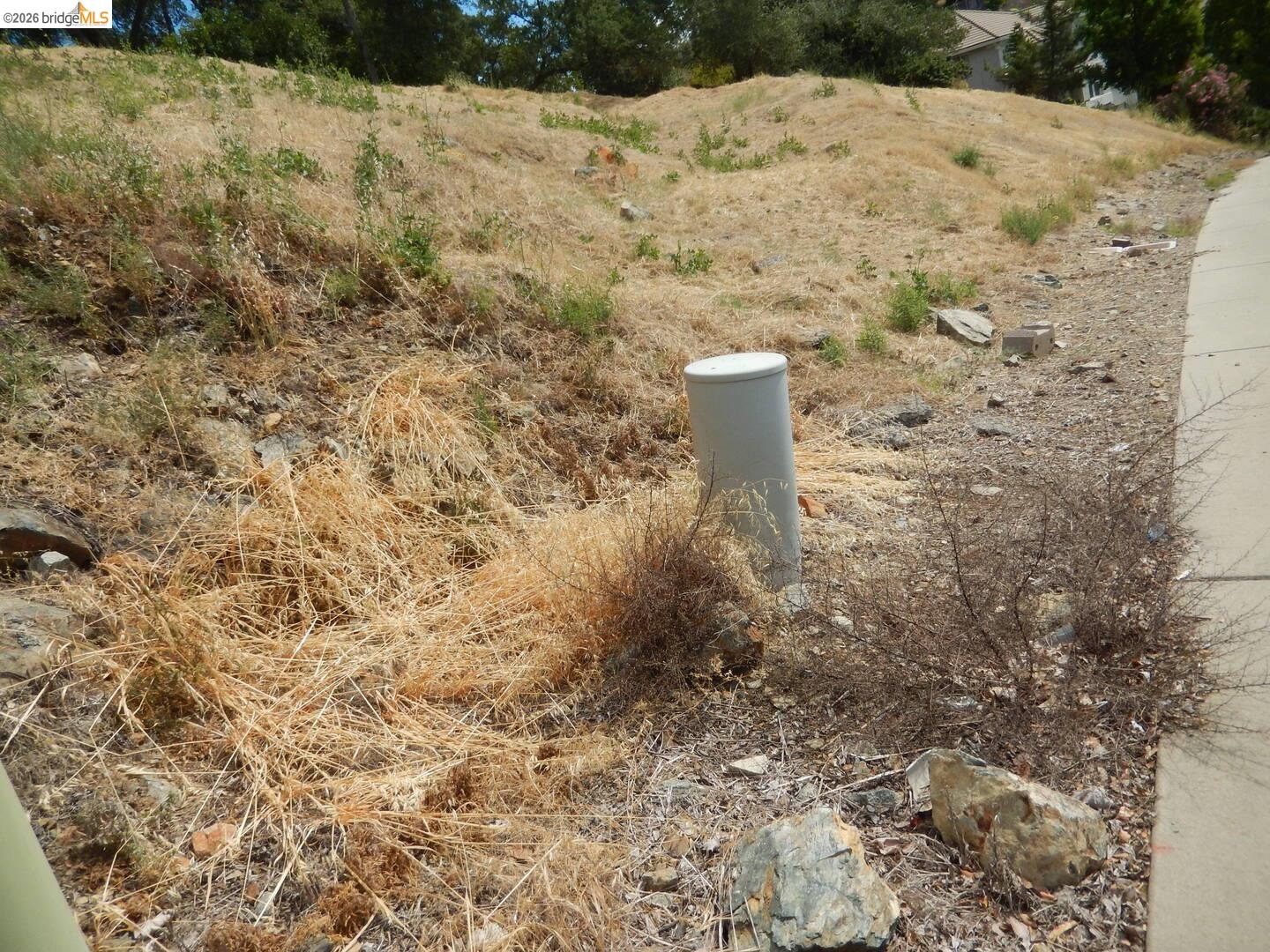 512 Crazy Horse Road Cameron Park, CA 95682 - Photo 4 of 18 a view of a backyard of a house