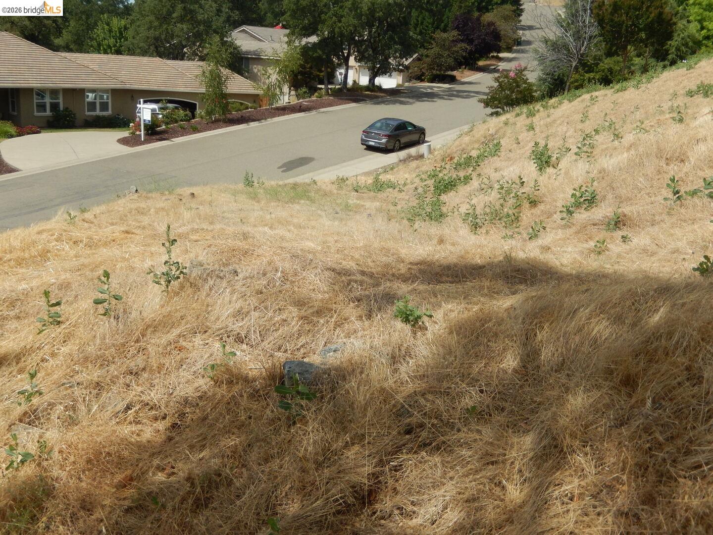 512 Crazy Horse Road Cameron Park, CA 95682 - Photo 7 of 18 a view of a yard with a snow
