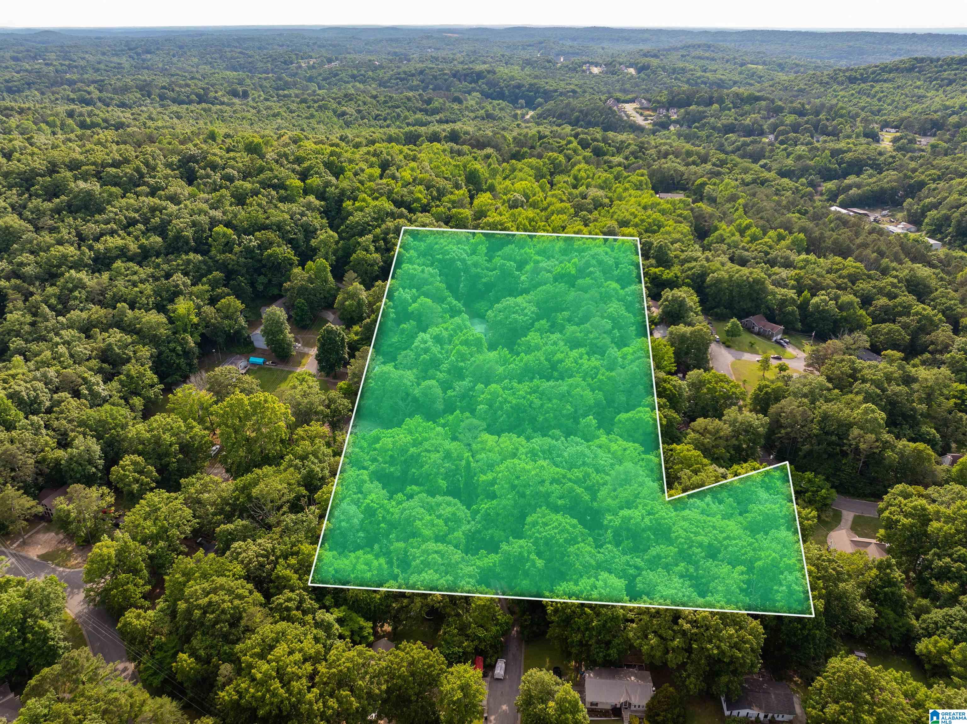 5162 Willow Ridge Lane Pinson, AL 35126 - Photo 35 of 36