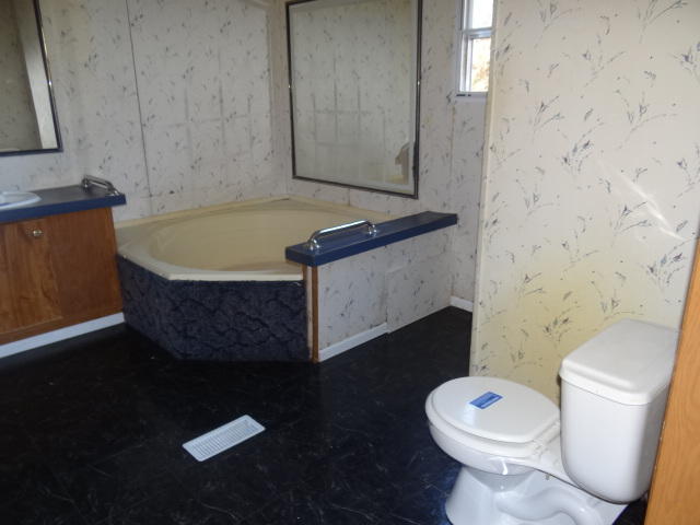 1085 Lowery Loop Road New Market, TN 37820 - Photo 7 of 13 Master Bath