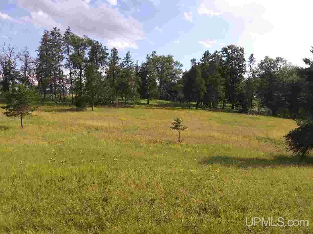 4 & 5 Road Norway, MI 49870 - Photo 4 of 4