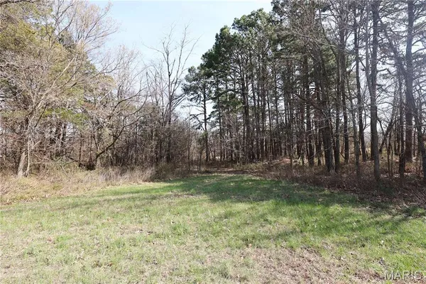 $73,000 | Lot 6 Dreamz Estate Drive, Perryville, MO 63775