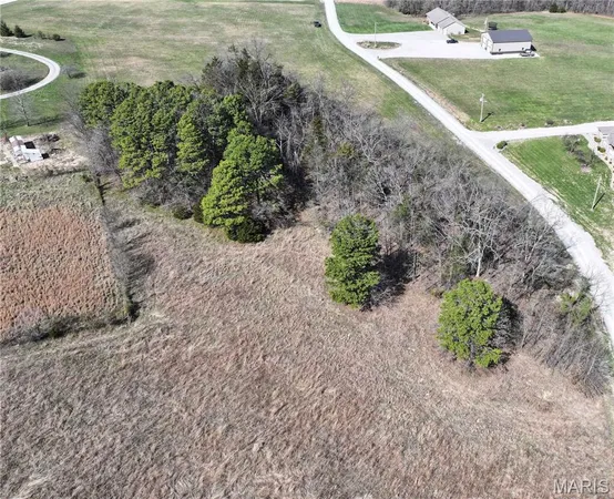 $73,000 | Lot 6 Dreamz Estate Drive, Perryville, MO 63775