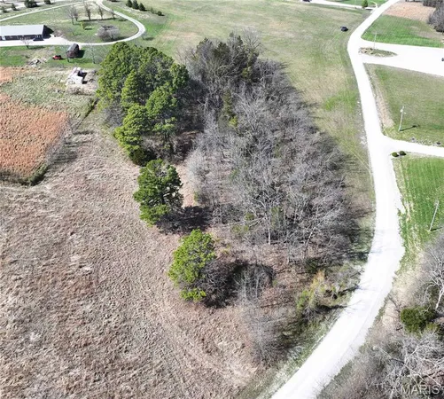 $73,000 | Lot 6 Dreamz Estate Drive, Perryville, MO 63775