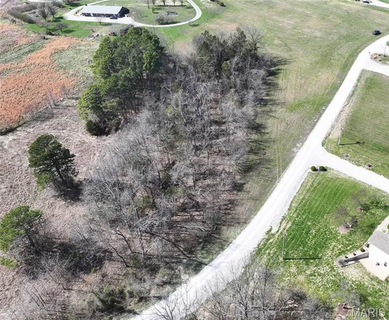 $73,000 | Lot 6 Dreamz Estate Drive, Perryville, MO 63775