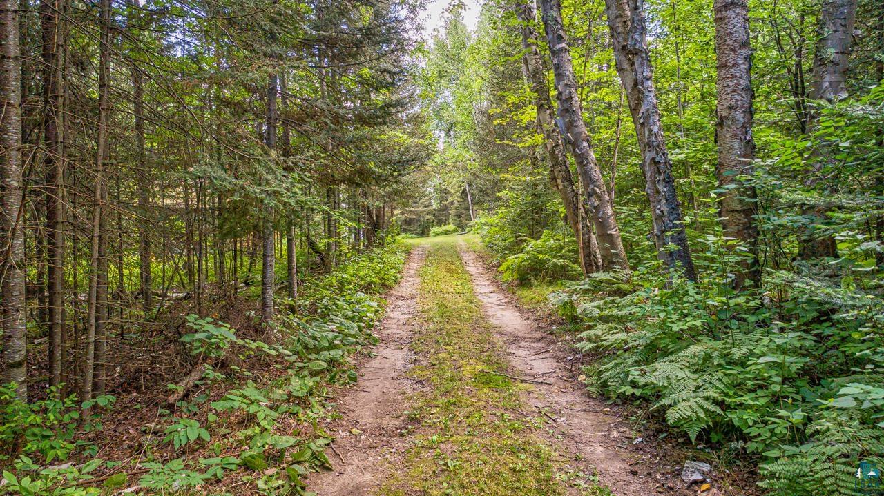 14057 Mikana Road Ely, MN 55731 - Photo 3 of 11 View of landscape