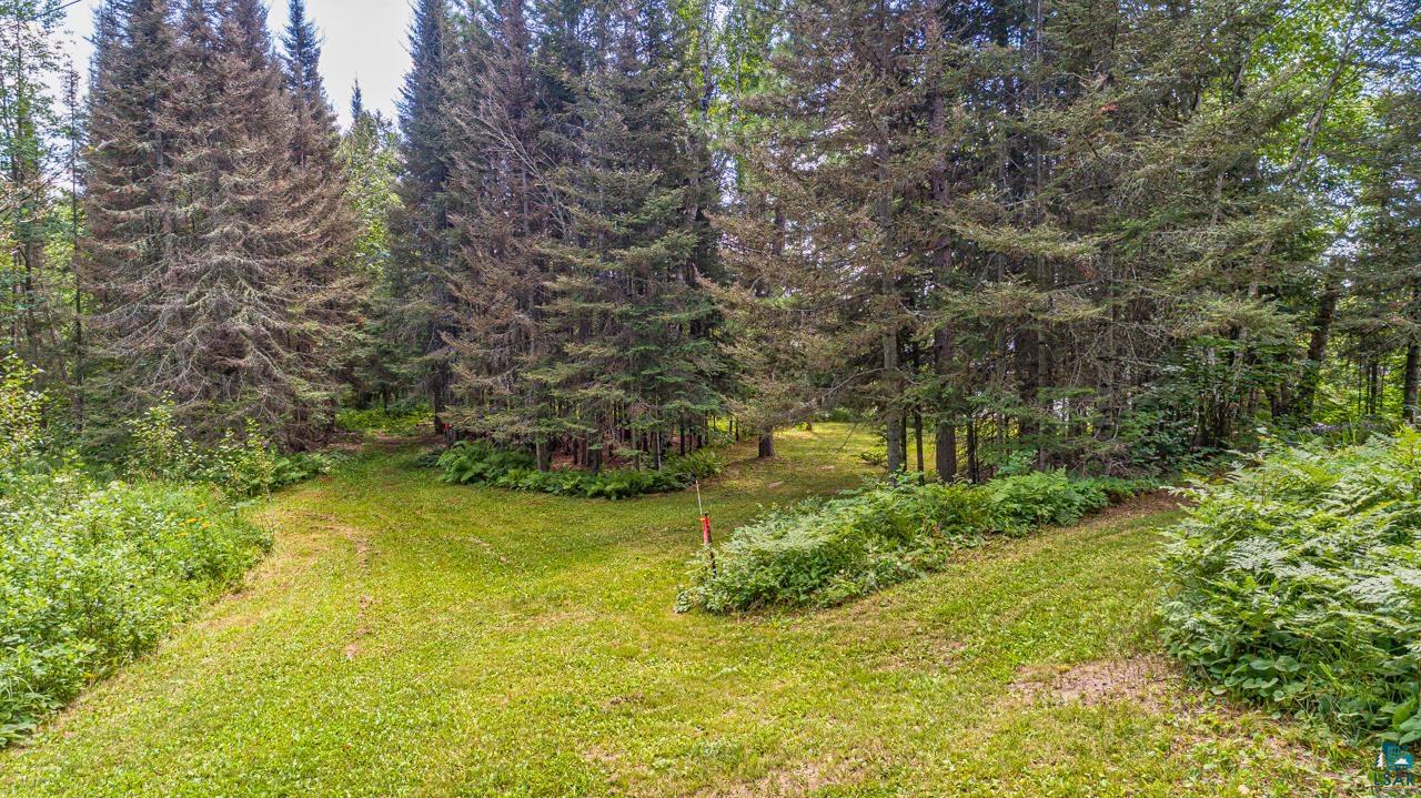 14057 Mikana Road Ely, MN 55731 - Photo 7 of 11 View of yard