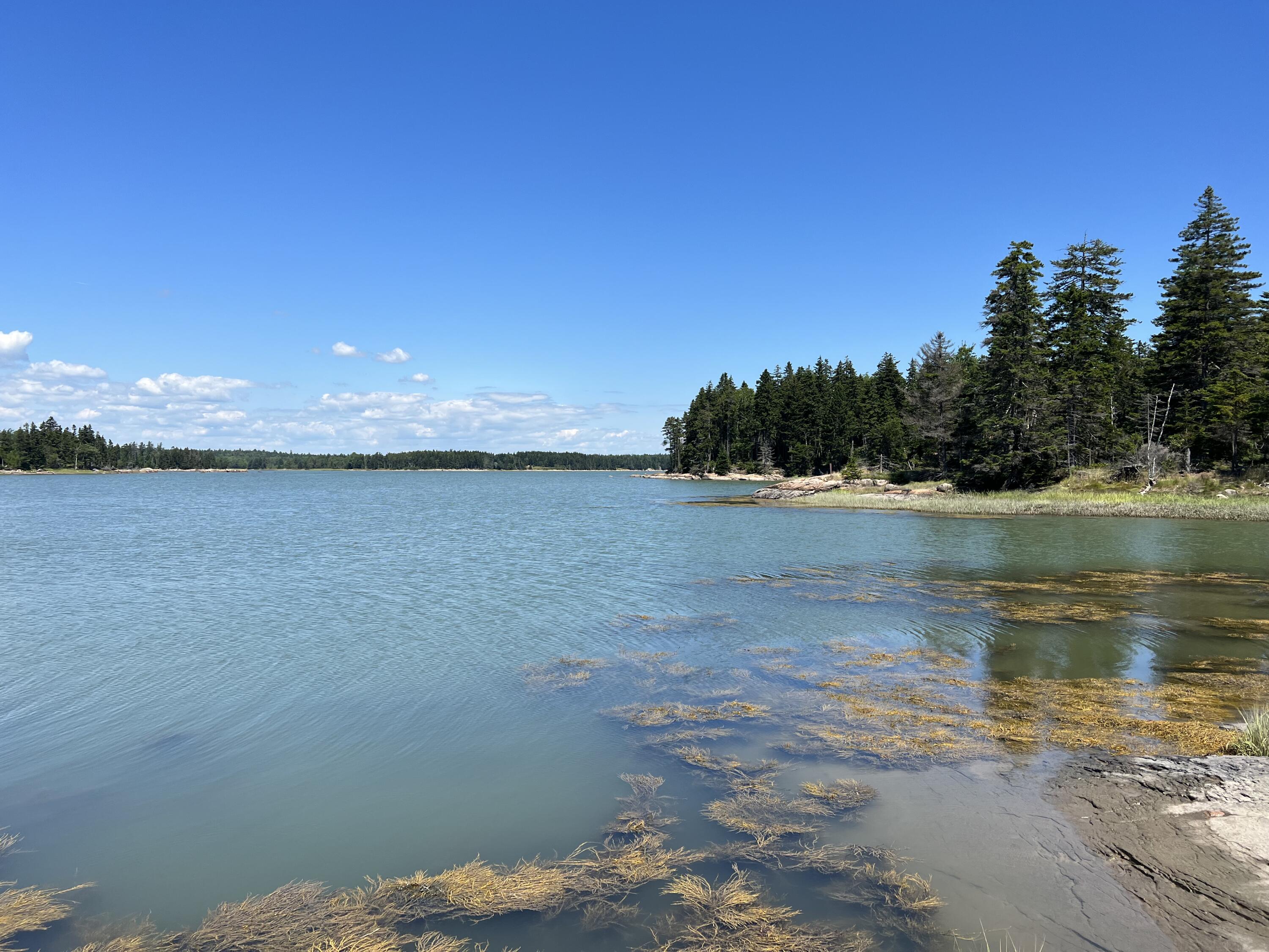 86 Back Shore Road Steuben, ME 04680 - Photo 1 of 24 IMG-7368