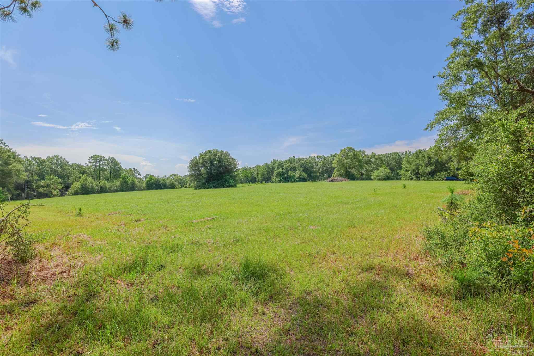 1400 Jacks Branch Road Cantonment, FL 32533 - Photo 8 of 18