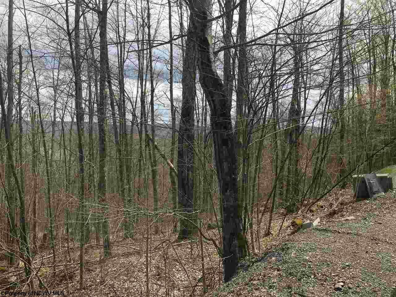 129 Northpoint Way Davis, WV 26260 - Photo 4 of 6 Gallery Image 4