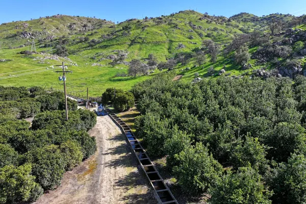 a view of a lush green forest with lots of trees