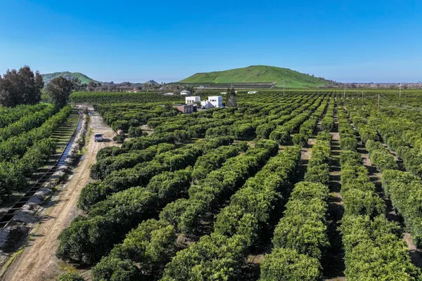an aerial view of residential houses with outdoor space and trees