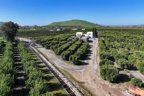 a view of a city with a garden