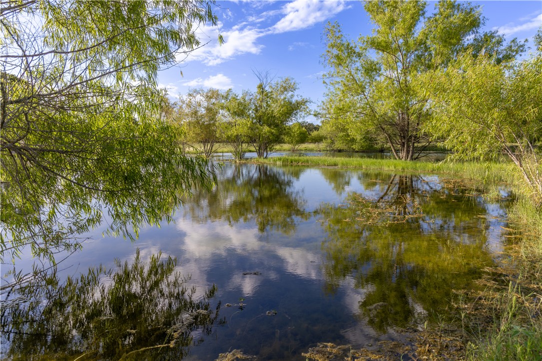 10102 Ferrill Creek Road Bryan, TX 77808 - Photo 17 of 29