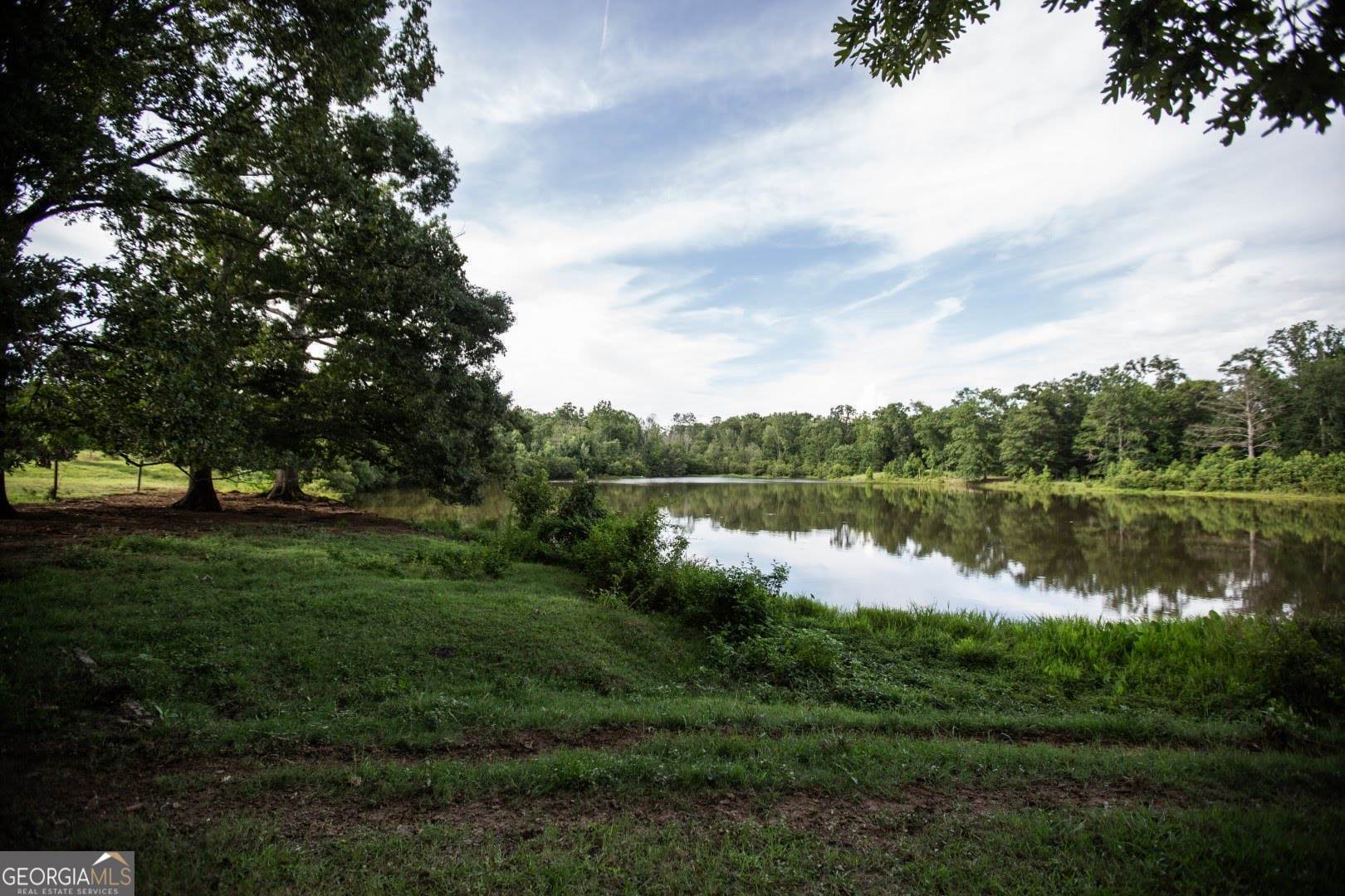 1530 State Highway 11 Covington, GA 30014 - Photo 11 of 32 a view of a lake in a forest