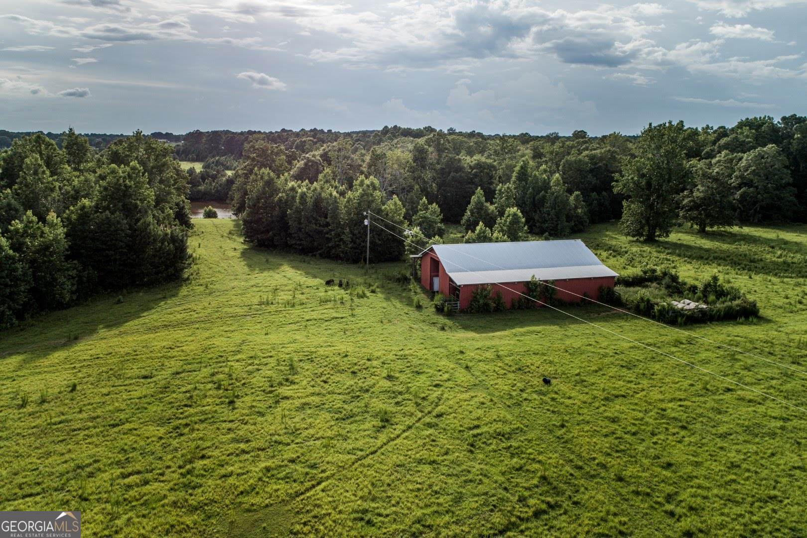 1530 State Highway 11 Covington, GA 30014 - Photo 20 of 32 a garden view with a lake view