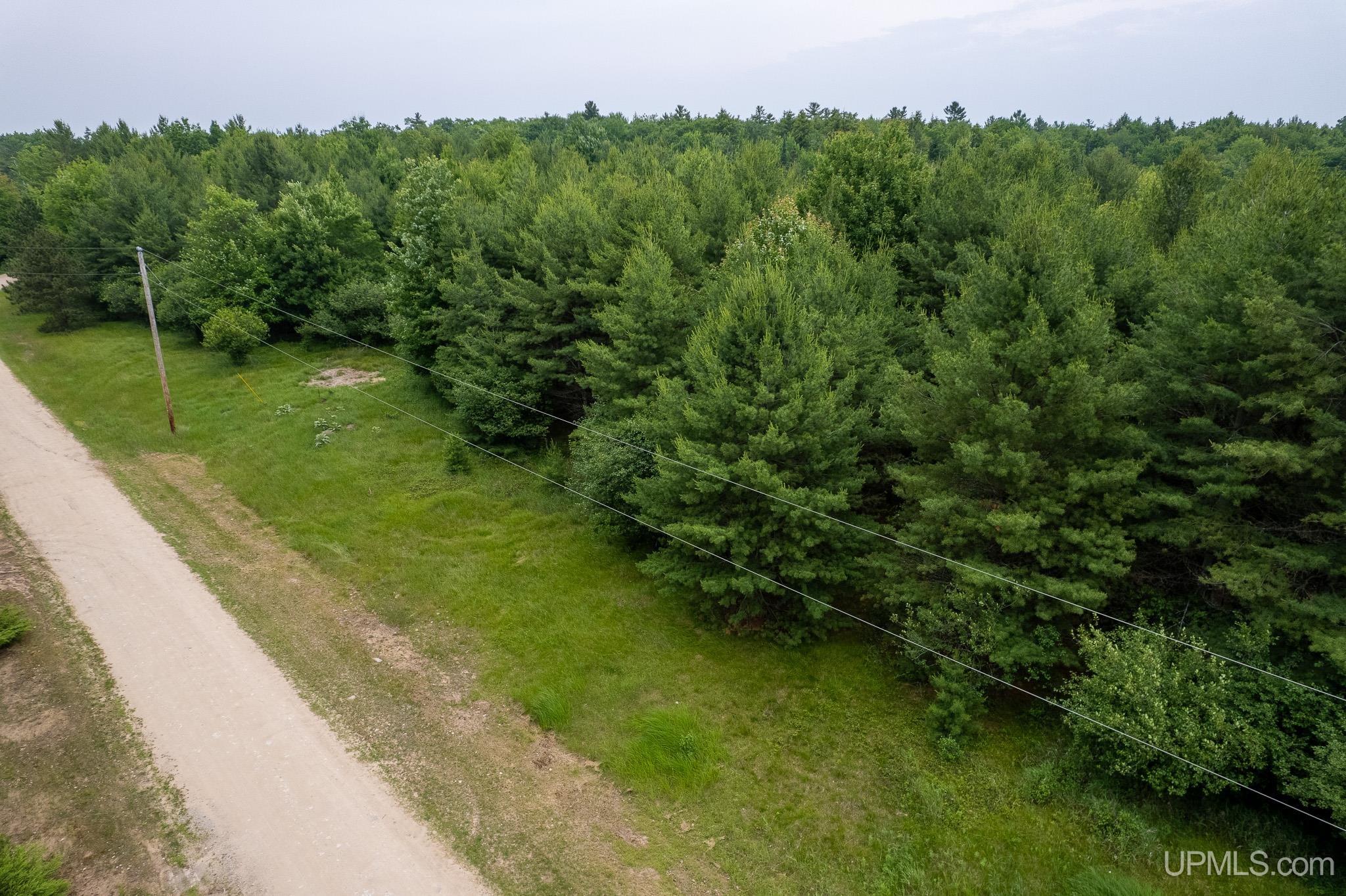 Tbd R 75 Lane Rapid River, MI 49878 - Photo 5 of 5
