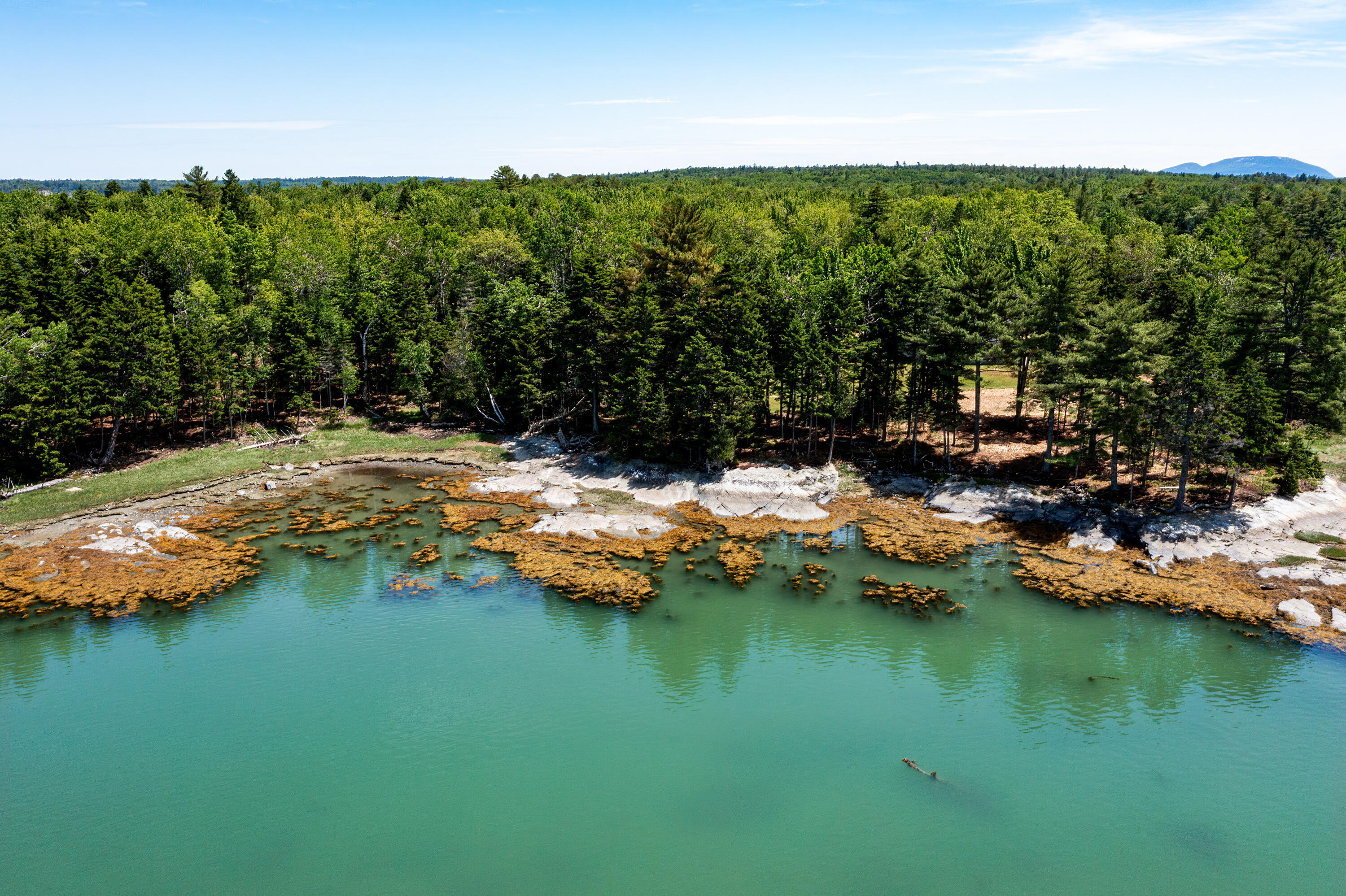 Lot #2 Seal Point Road Lamoine, ME 04605 - Photo 9 of 14 photo 40-Edit