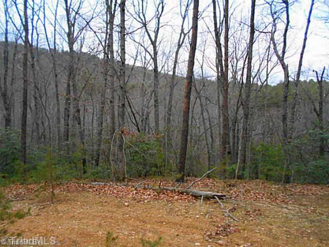Tract B Wolf Rock Road Walnut Cove, NC 27052 - Photo 1 of 4 Land. Great views of Hanging Rock