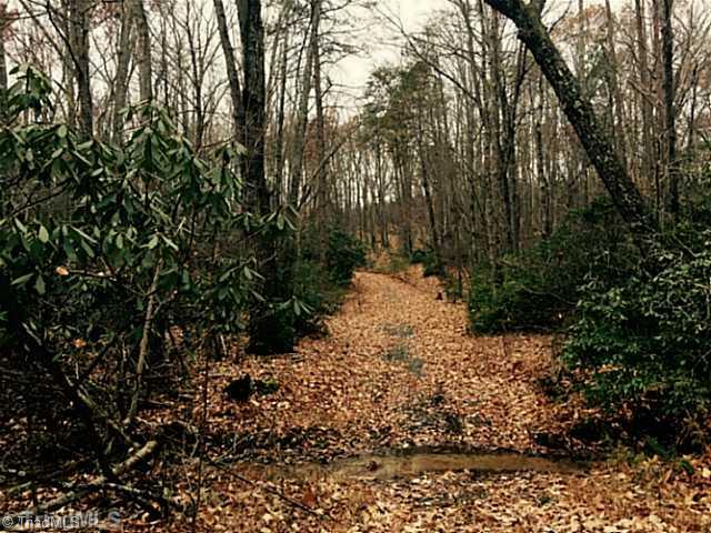 Tract B Wolf Rock Road Walnut Cove, NC 27052 - Photo 2 of 4 Land. Beautiful hardwood trees with rolling terrain