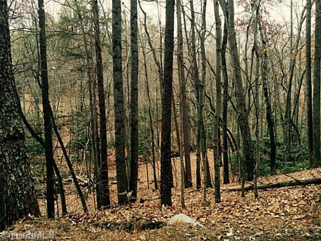 Tract B Wolf Rock Road Walnut Cove, NC 27052 - Photo 3 of 4 Land. Acreage sits at base of Hanging Rock